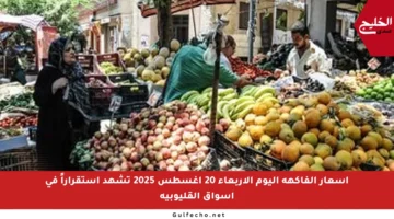أسعار الفاكهة اليوم الأربعاء 20 أغسطس 2025 تشهد استقراراً في أسواق القليوبية